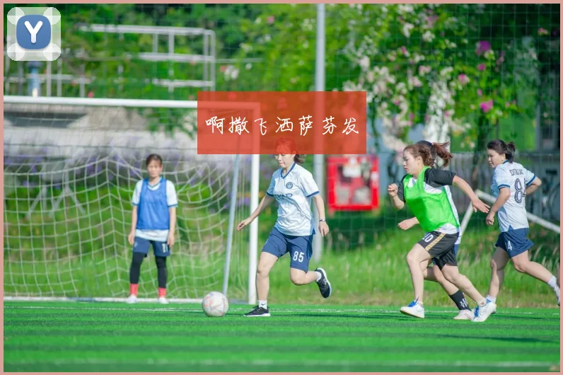 世界杯观赛终极指南:如何享受一场完美的足球盛宴
